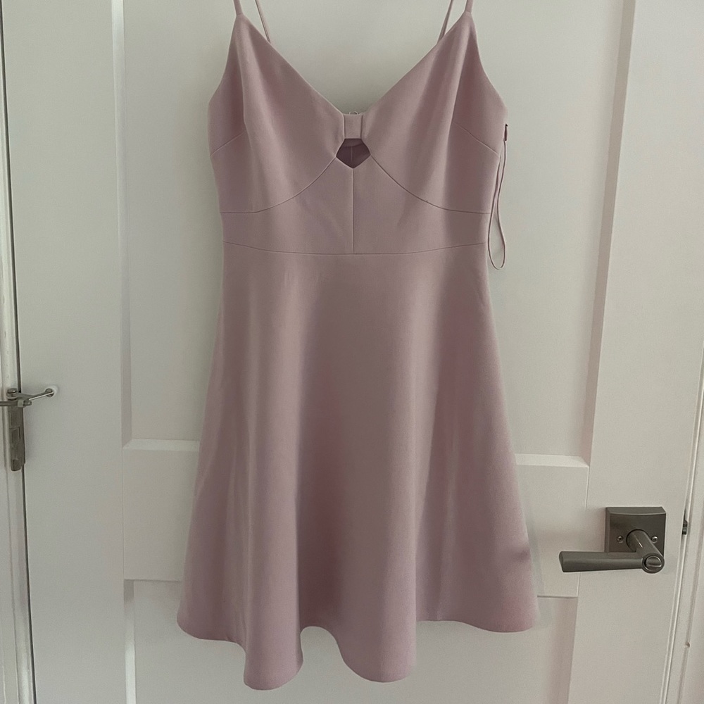 Likely size 2 New With Tags NWT light pink auburn dress
